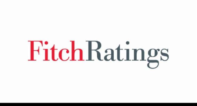 Debt Restructuring to ease pressures - FITCH
